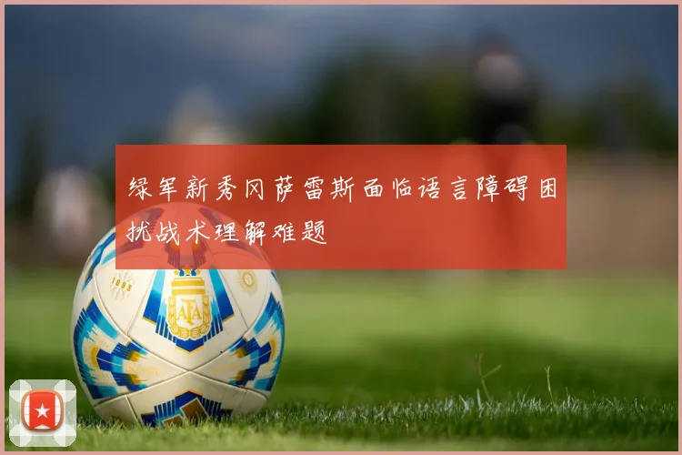 绿军新秀冈萨雷斯面临语言障碍困扰战术理解难题