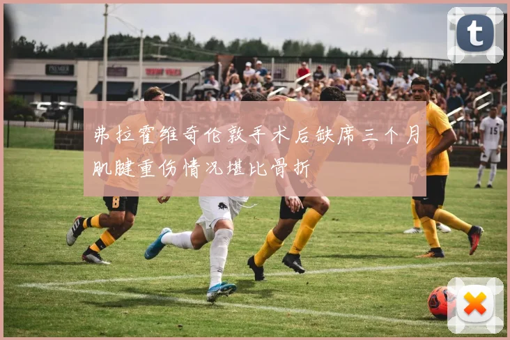 弗拉霍维奇伦敦手术后缺席三个月肌腱重伤情况堪比骨折